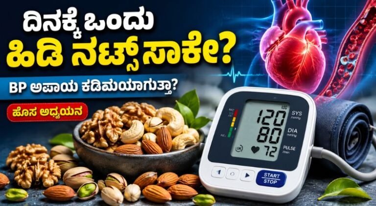 ದಿನಕ್ಕೆ ಒಂದು ಹಿಡಿ ನಟ್ಸ್