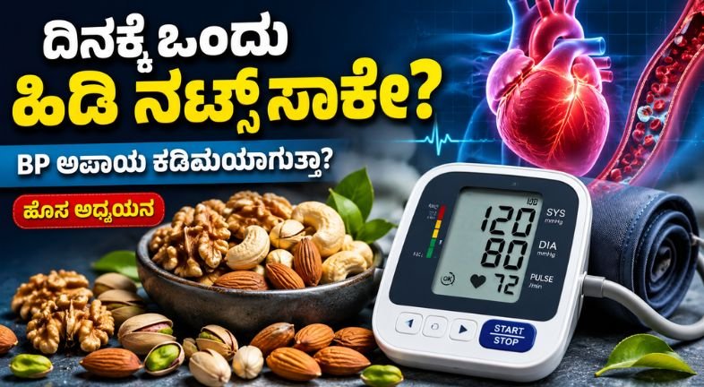 ದಿನಕ್ಕೆ ಒಂದು ಹಿಡಿ ನಟ್ಸ್