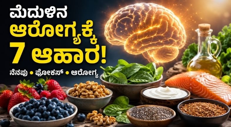 ಮೆದುಳಿನ ಆರೋಗ್ಯಕ್ಕೆ 7 ಆಹಾರಗಳು ಯಾವುವು? ಬೆರ್ರಿಗಳು, ಹಸಿರು ಸೊಪ್ಪು, ಮೀನು, ನಟ್ಸ್, ಬೇಳೆ, ಫರ್ಮೆಂಟೆಡ್ ಫುಡ್ಸ್ ಮತ್ತು ಆಲಿವ್ ಎಣ್ಣೆ ಮೆದುಳಿಗೆ ಹೇಗೆ ಸಹಾಯ ಮಾಡುತ್ತವೆ? ಇಲ್ಲಿದೆ ಸಂಪೂರ್ಣ ಮಾಹಿತಿ.