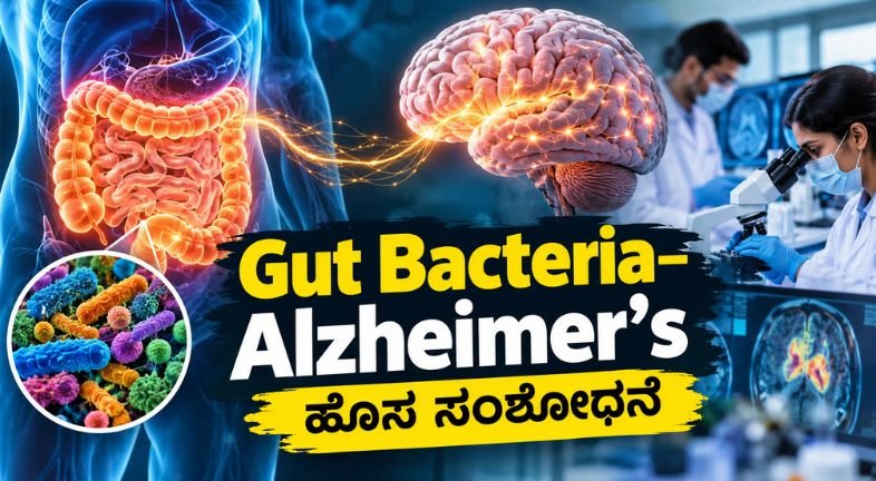 Gut Bacteria ಮತ್ತು Alzheimer’s